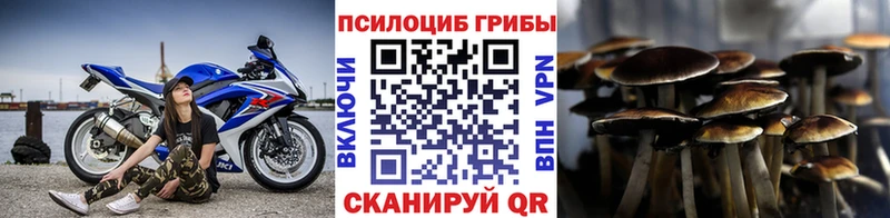 Купить закладки  Белгород  Галлюциногенные грибы прущие грибы 