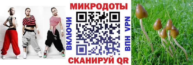 Галлюциногенные грибы мицелий Белгород